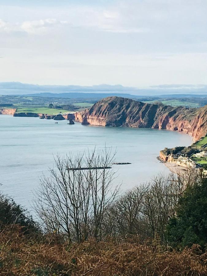 Charming Gnome In Devon Near Sidmouth Holiday home *