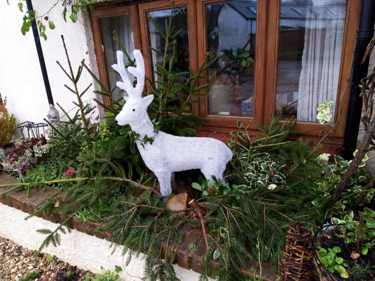 Charming Gnome In Devon Near Sidmouth Holiday home